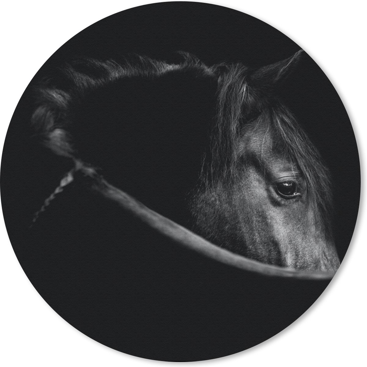 Muismat rond 50x50 cm - Mousepad Paarden - Portret - Zwart - Dieren - Ronde muismatten
