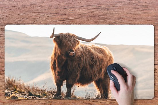 Bureau onderlegger 80x40 cm - Muismat Schotse hooglander - Dieren - Landelijk - Landschap - Koe - Natuur - Bureaulegger xl - Desk mat beschermer - Computer muismatten