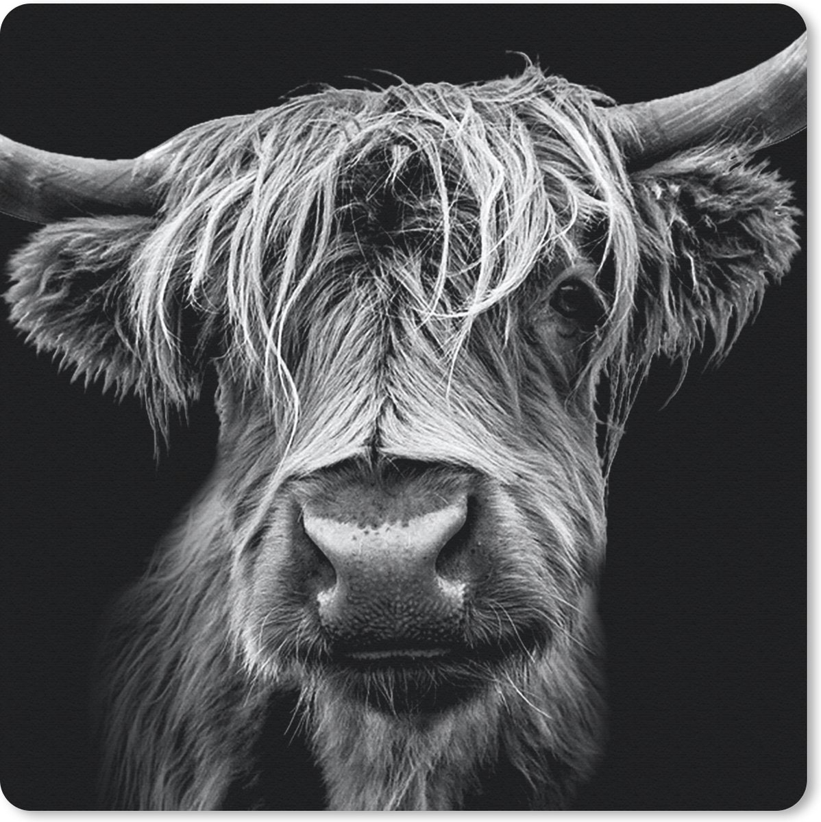 Muismat 30x30 cm - Mousepad Schotse Hooglander - Horens - Zwart - Wit - Koe - Wild - Dieren - Muismatten