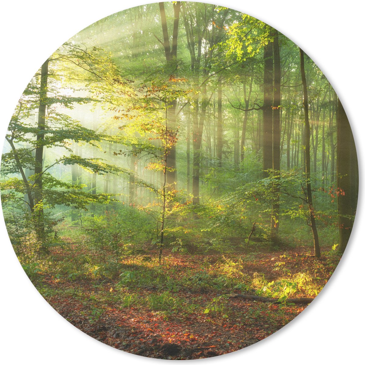 Muismat rond 30x30 cm - Mousepad Zon - Bos - Bomen - Natuur - Herfst - Ronde muismatten