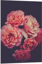 WallClassics - Acrylglas - Grote Roze Bloemen - 70x105 cm Foto op Acrylglas (Wanddecoratie op Acrylaat)