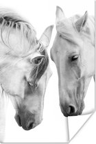 Poster Paard - Dieren - Portret - Wit - 120x180 cm XXL