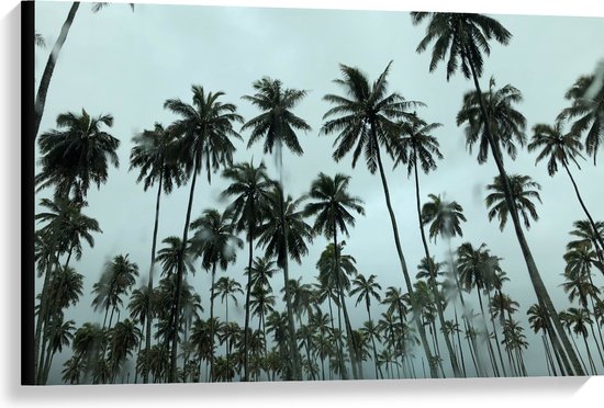 WallClassics - Canvas  - Regenwolken boven Palmbomen - 90x60 cm Foto op Canvas Schilderij (Wanddecoratie op Canvas)