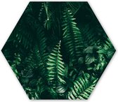 Hexagon wanddecoratie - Kunststof Wanddecoratie - Hexagon Schilderij - Bladeren - Jungle - Natuur - Tropisch - Planten - 75x65 cm