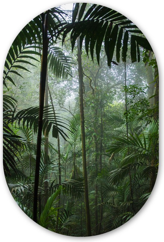 Muurovaal - Wandovaal - Kunststof Wanddecoratie - Ovalen Schilderij - Regenwoud - Tropisch - Jungle - Bomen - Planten - 60x90 cm - Ovale spiegel vorm op kunststof