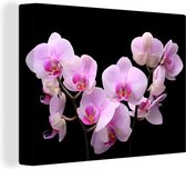 Canvas Schilderij Orchidee - Bloemen - Roze - Flora - 40x30 cm - Wanddecoratie