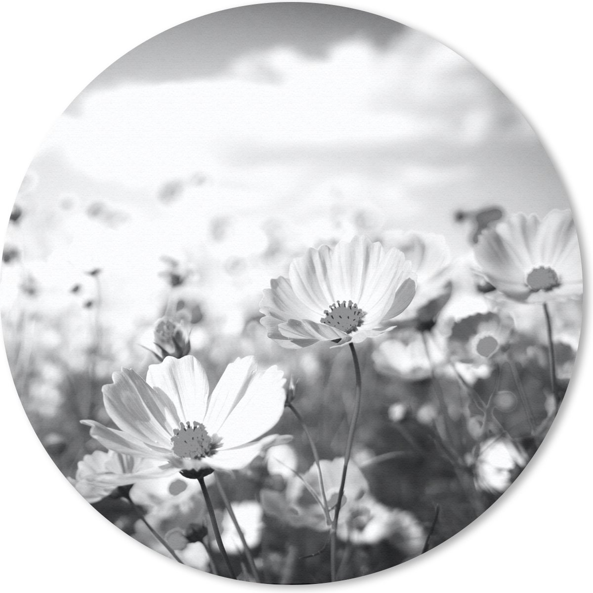 Muismat rond 40x40 cm - Mousepad Bloemen - Wei - Paars - Gras - Wit - Wolken - Blauw - Ronde muismatten