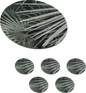 Onderzetters voor glazen - Rond - Bladeren - Groen - Palm - 10x10 cm - Glasonderzetters - 6 stuks