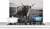 Spatscherm keuken 80x55 cm - Kookplaat achterwand Schotse hooglander - Natuur - Koeien - Dieren - Zwart wit - Muurbeschermer - Spatwand fornuis - Hoogwaardig aluminium