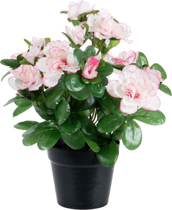 Louis Maes Azalea Kunstplant - in pot - wit/roze - H25 cm