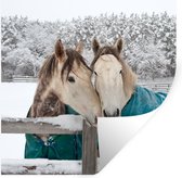 Stickers muraux - Paarden - Couverture - Neige - 100x100 cm - Film Adhésif XXL