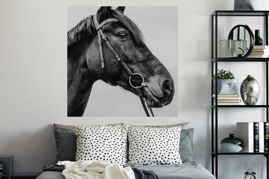 Stickers Stickers muraux - Cheval - Licol - Portrait - 120x120 cm - Film adhésif XXL