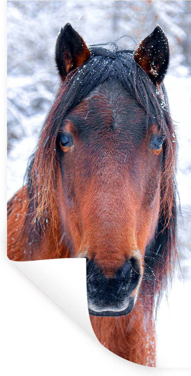 Muurstickers - Sticker Folie - Paard - Winter - Sneeuwvlok - 20x40 cm - Plakfolie - Muurst