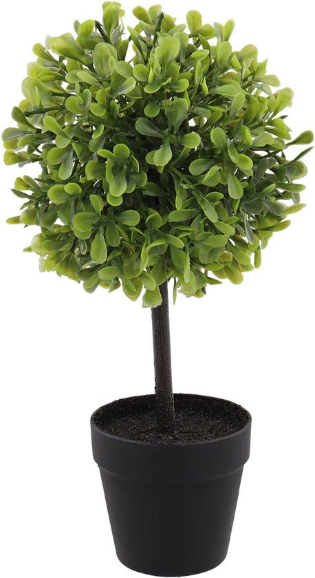 GIANTEX Set van 2 kunstmatige buxusbomen, kunstplanten met realistische PE-bladeren en gesimuleerde stam, cementbloempot en mosafdekking, plant voor ingang, woonkamer GIANTEX Set van 2 kunstmatige buxusbomen, kunstplanten met realistische PE-bladeren en gesimuleerde stam, cementbloempot en mosafdekking, plant voor ingang, woonkamer