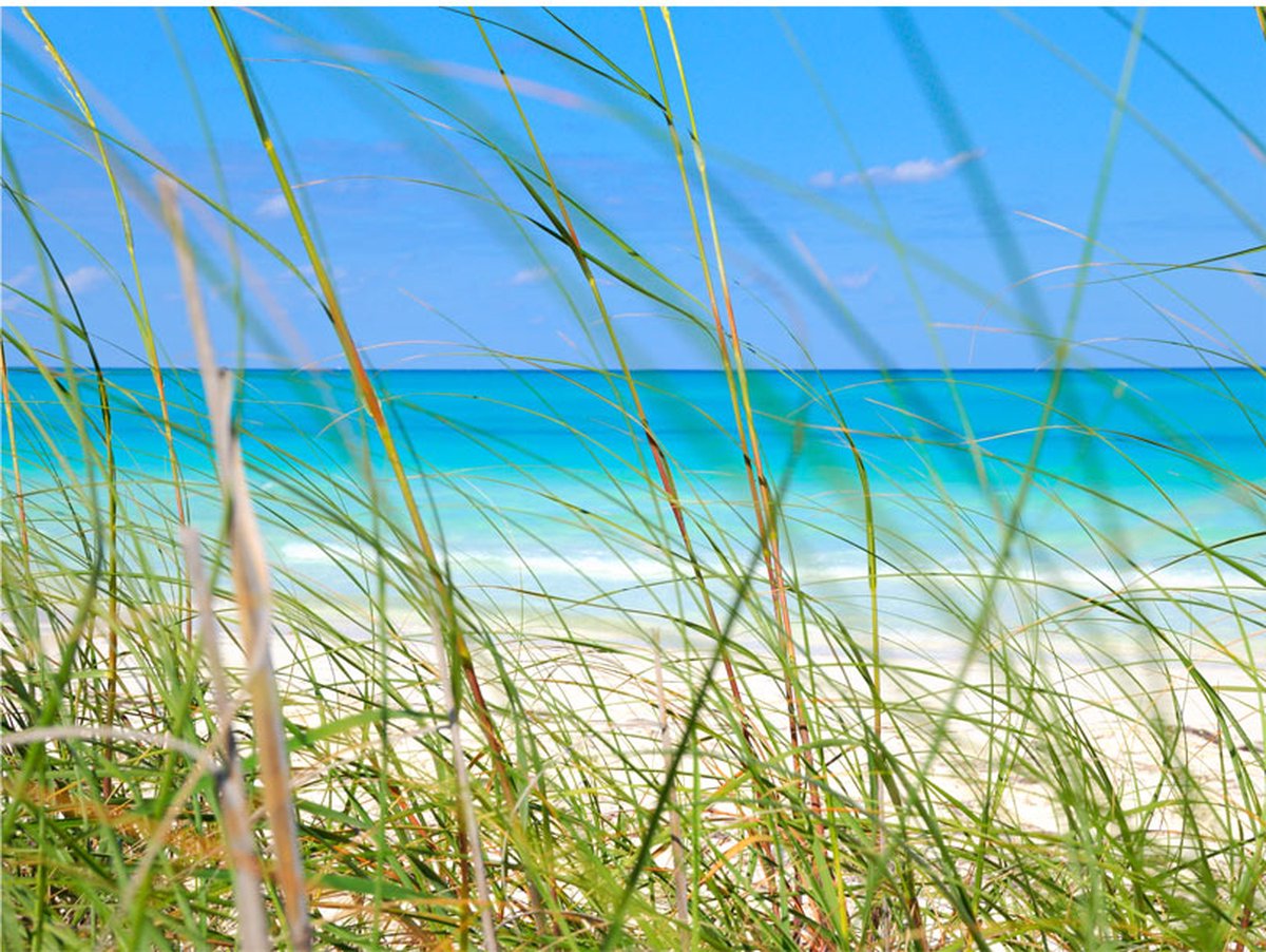 Fotobehang - Tropical journey.