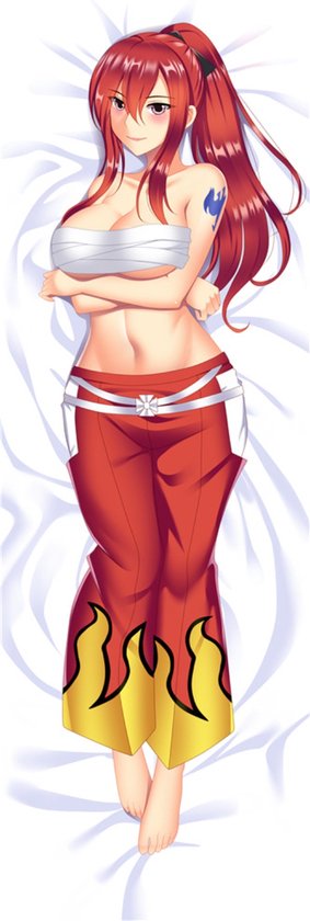 Erza Scarlet Fairy Tail Anime Body Pillow Waifu Housse Dakimakura Coussin  Case 188 | bol