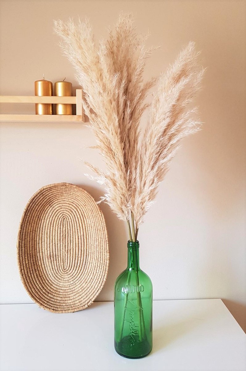 Plumes de Pampa Avec Vase en Verres Vert Transparent 3 Plumes de