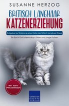 Britisch Langhaar Katzenerziehung - Ratgeber zur Erziehung einer Katze der Britisch Langhaar Rasse