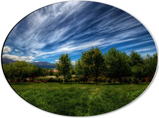 WallClassics - Dibond Ovaal - Landschap van Gras en Bomen - 40x30 cm Foto op Ovaal (Met Ophangsysteem)