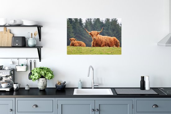 Une mère et son veau Poster Highlander écossais 60x40 cm - Tirage photo sur Poster (décoration murale salon / chambre) / Poster Animaux sauvages