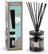 Esteban Classic Orchidée Blanche Bâtonnets de Bâtons parfumés Ellipse - 150 ml