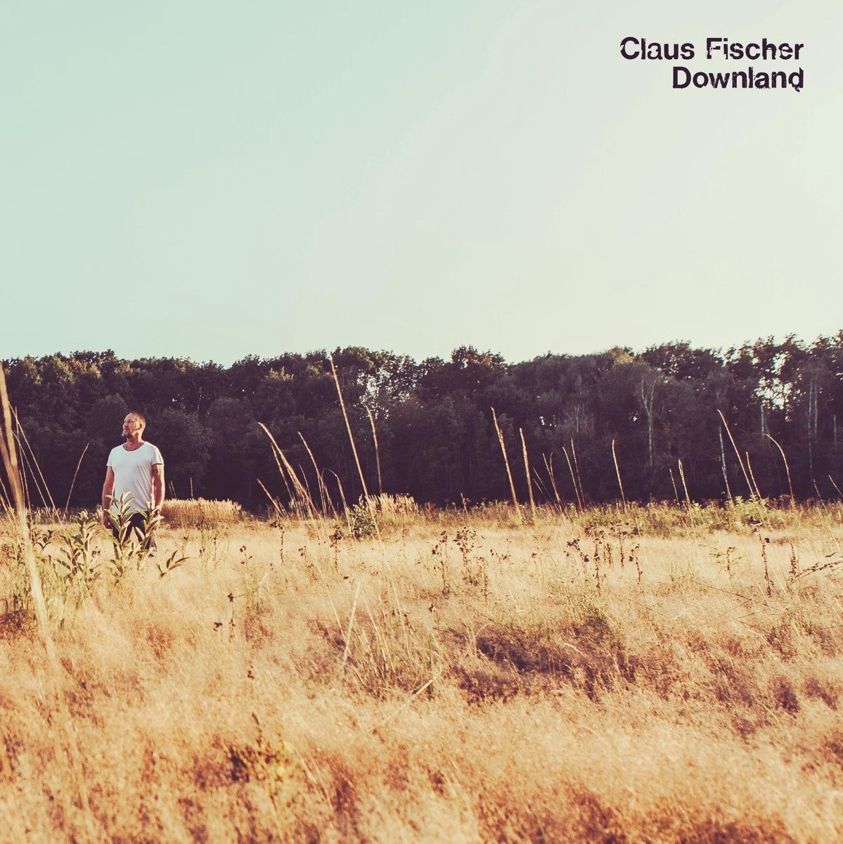 Claus Fischer, Don Grusin, Simon Oslender - Downland (LP)