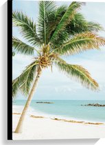 WallClassics - Canvas  - Palmboom op Wit Strand - 40x60 cm Foto op Canvas Schilderij (Wanddecoratie op Canvas)