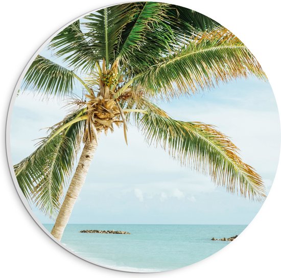 WallClassics - PVC Schuimplaat Muurcirkel - Palmboom op Wit Strand - 20x20 cm Foto op Muurcirkel (met ophangsysteem)