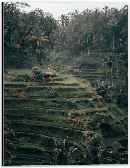 WallClassics - Dibond - Landbouwvelden in Bali - 30x40 cm Foto op Aluminium (Met Ophangsysteem)