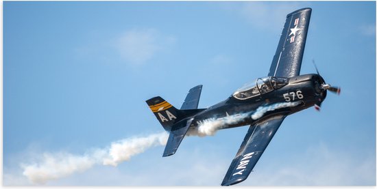 WallClassics - Poster (Mat) - Minnie Blauw Vliegtuig in de Lucht - 100x50 cm Foto op Posterpapier met een Matte look