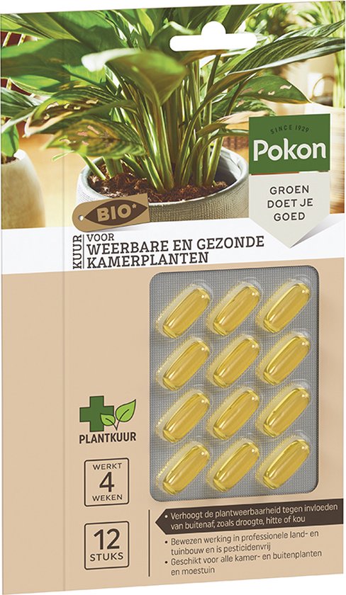 Pokon Bio Kuur voor Weerbare en Gezonde Kamerplanten - Capsules - 12 stuks - Geschikt voor alle kamer-, buitenplanten en moestuin