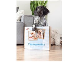 Prins Opgroeibox ProCare Puppy & Junior