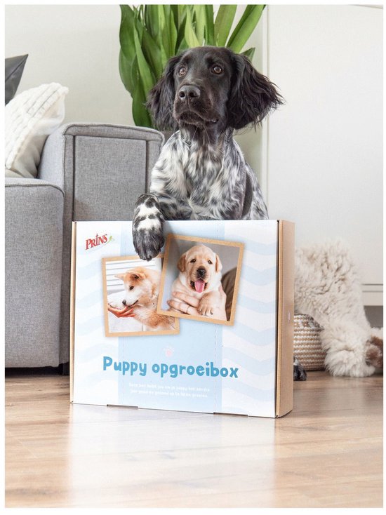 Prins Opgroeibox ProCare Puppy & Junior