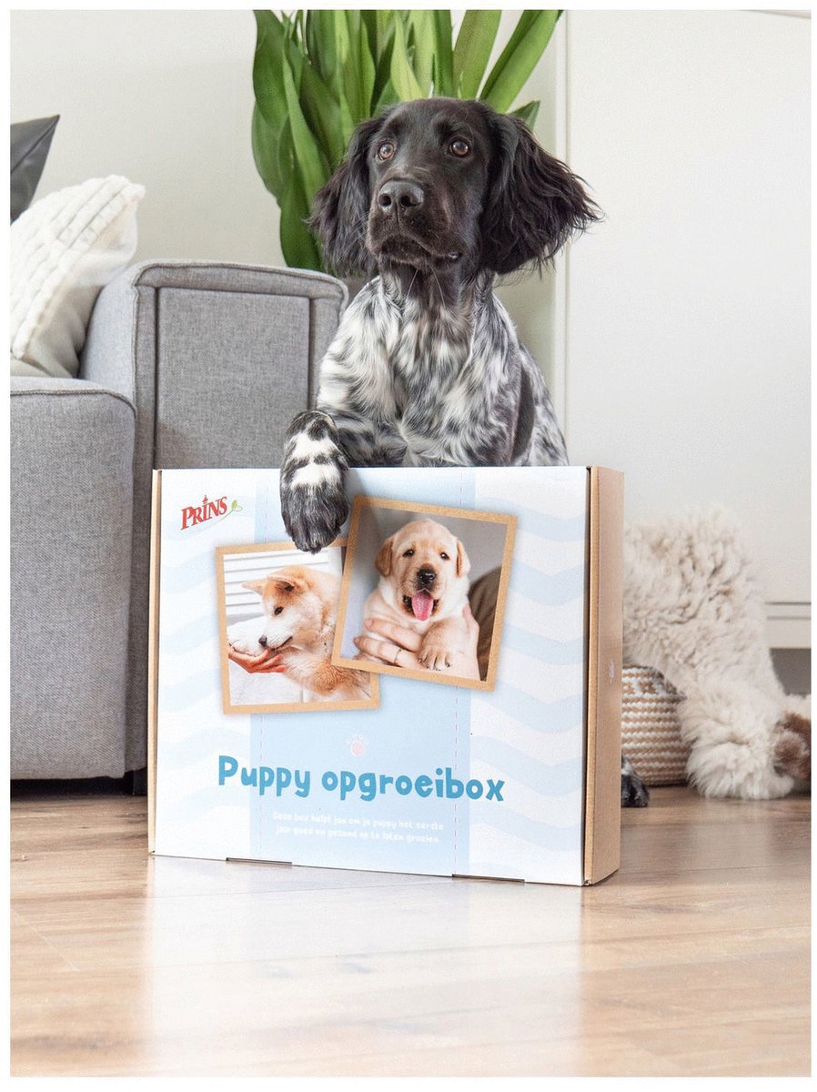 Prins Opgroeibox ProCare Puppy&Junior