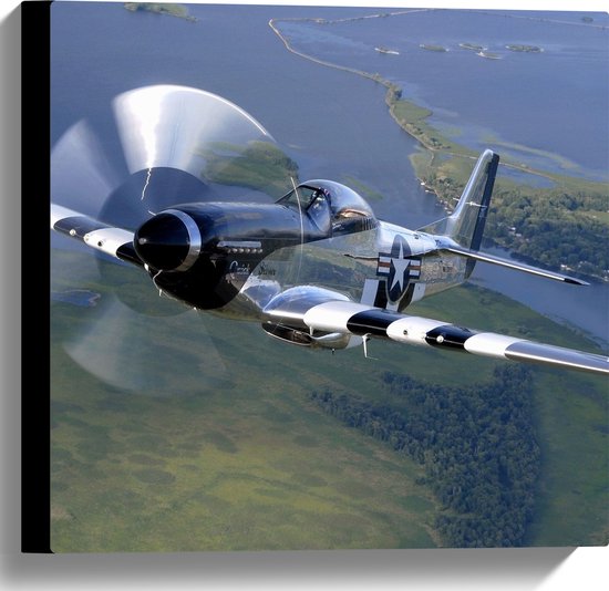 WallClassics - Canvas  - Opstijgend Minnie Vliegtuig boven Landschap - 40x40 cm Foto op Canvas Schilderij (Wanddecoratie op Canvas)