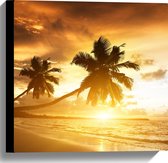 WallClassics - Canvas  - Palmbomen op het Strand bij Zonsondergang - 40x40 cm Foto op Canvas Schilderij (Wanddecoratie op Canvas)