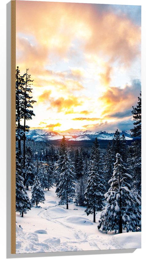 WallClassics - Hout - Hoge Bomen in Sneeuwveld - 50x100 cm - 12 mm dik - Foto op Hout (Met Ophangsysteem)