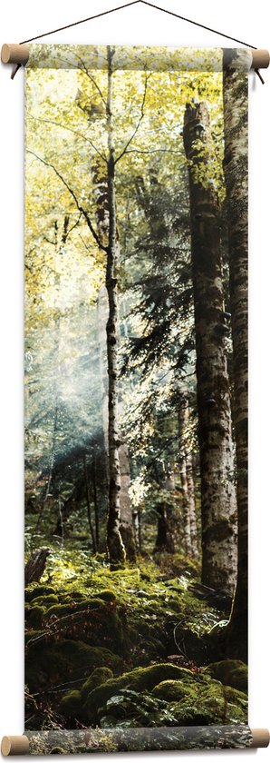 WallClassics - Textielposter - Groene Bomen met Zon - 30x90 cm Foto op Textiel