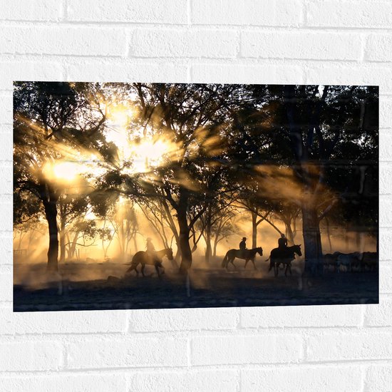 WallClassics - Muursticker - Groepje Paarden in Bos verlicht door Zon - 75x50 cm Foto op Muursticker