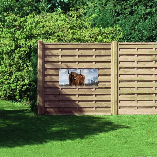 WallClassics - Poster de Jardin - Highlander écossais - 100x50 cm Photo sur Poster de Jardin (décoration murale pour l'extérieur et l'intérieur)