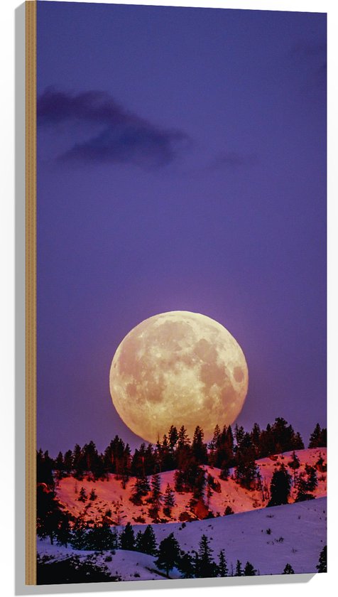 WallClassics - Hout - Grote Volle Maan boven SneeuwBerg - 50x100 cm - 12 mm dik - Foto op Hout (Met Ophangsysteem)