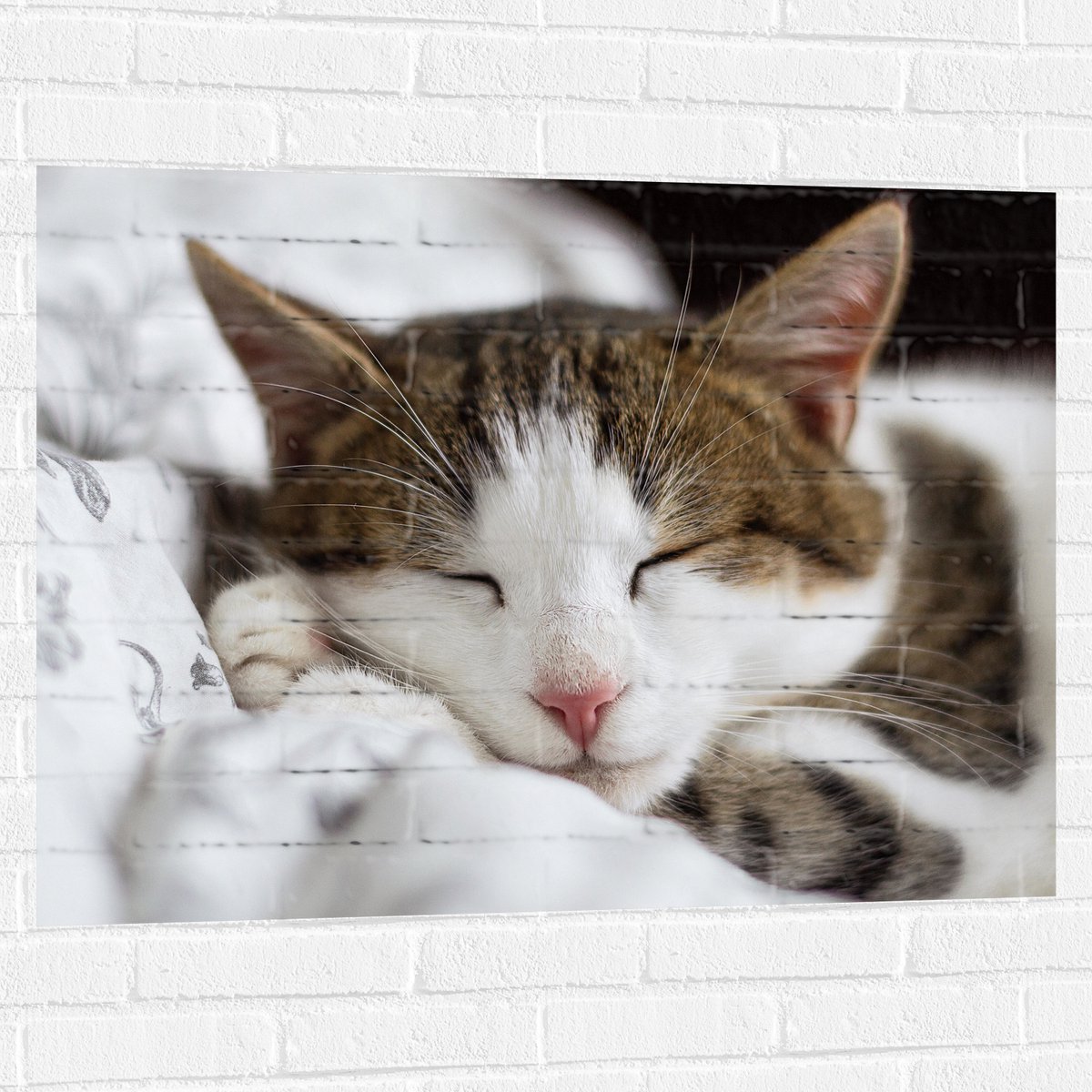 Muursticker - Poes Slaapt op de Bank - 100x75 cm Foto op Muursticker