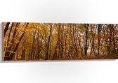 WallClassics - Hout - Groene en Bruine Bladeren in het Bos - 120x40 cm - 12 mm dik - Foto op Hout (Met Ophangsysteem)