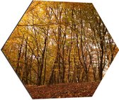 WallClassics - Dibond Hexagon - Groene en Bruine Bladeren in het Bos - 60x52.2 cm Foto op Hexagon (Met Ophangsysteem)