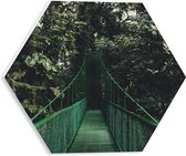 WallClassics - PVC Schuimplaat Hexagon - Groene Brug in Bosgebied - 30x26.1 cm Foto op Hexagon (Met Ophangsysteem)