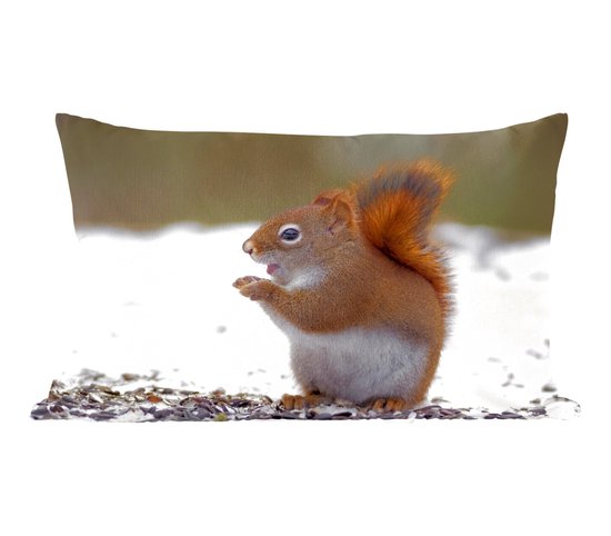 Sierkussens - Kussen - Een eekhoorn die recht staat op in de winter - 60x40 cm - Kussen van katoen