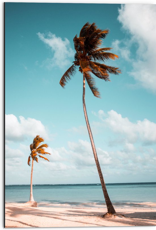 WallClassics - Dibond - Grote en Kleine Palmboom aan het Water - 50x75 cm Foto op Aluminium (Met Ophangsysteem)