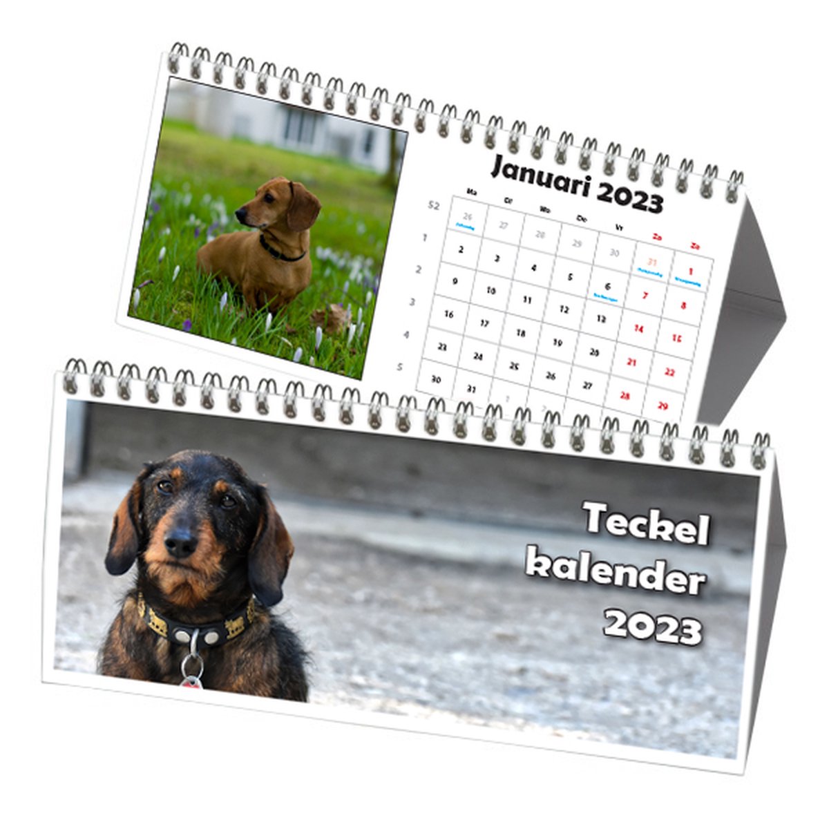 Teckel Driehoek Bureau Kalender 2023