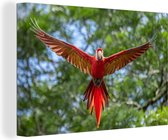 Flying Macaw Canvas 80x60 cm - Tirage photo sur toile (Décoration murale salon / chambre) / Peintures sur toile Animaux