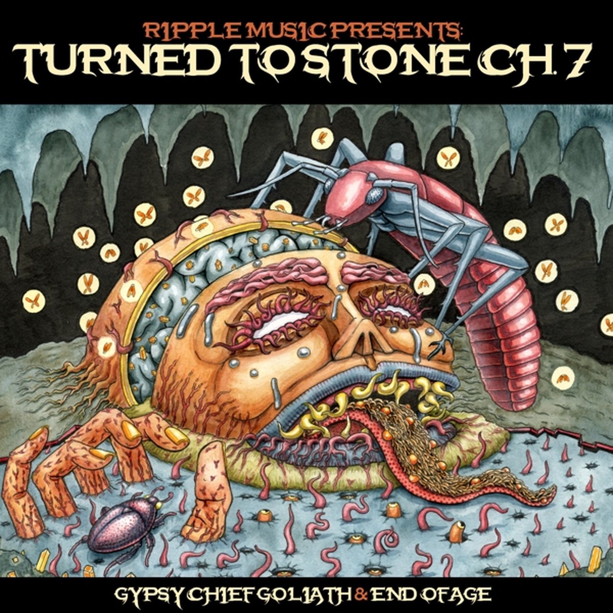 Turned to Stone